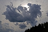 Bedrohlich - (c) M Mueller.jpg